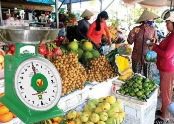 Cân đồng hồ có chính xác không? Những đặc điểm của cân?