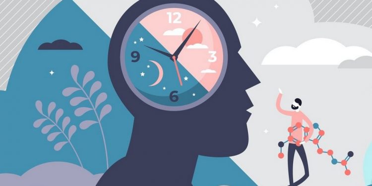 Đồng hồ sinh học là hệ thống kiểm tra giờ có mặt trong cơ thể